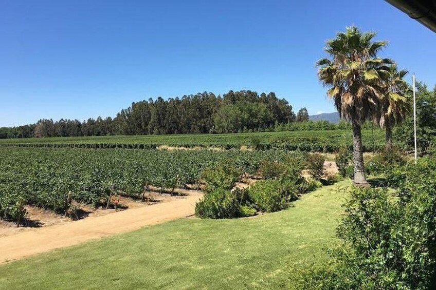 Colchagua Valley