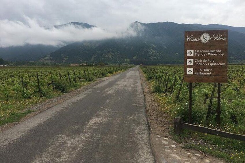 Colchagua Valley