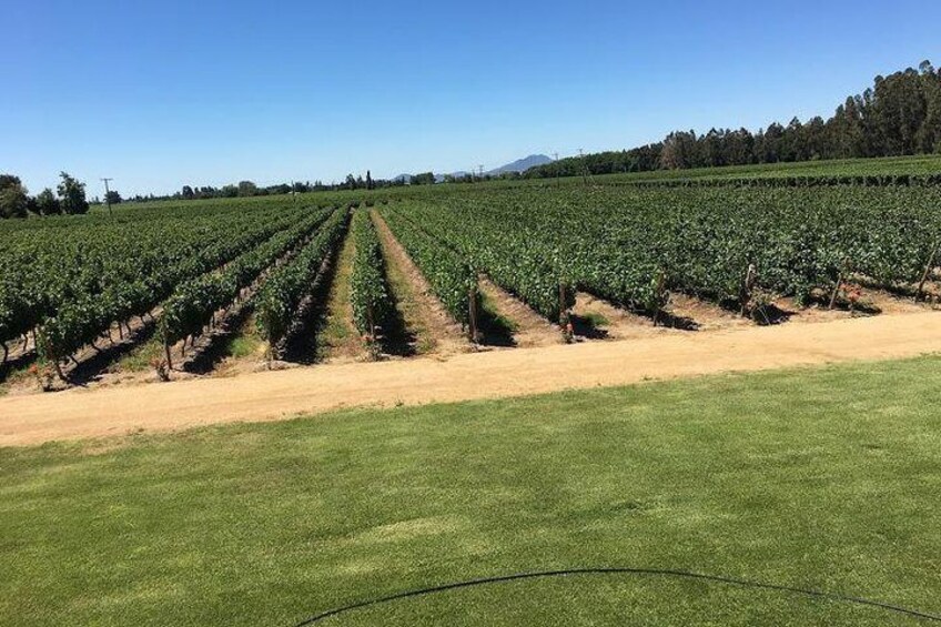 Colchagua Valley