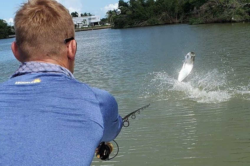 Light Tackle Tarpon & Snook Fishing Charter