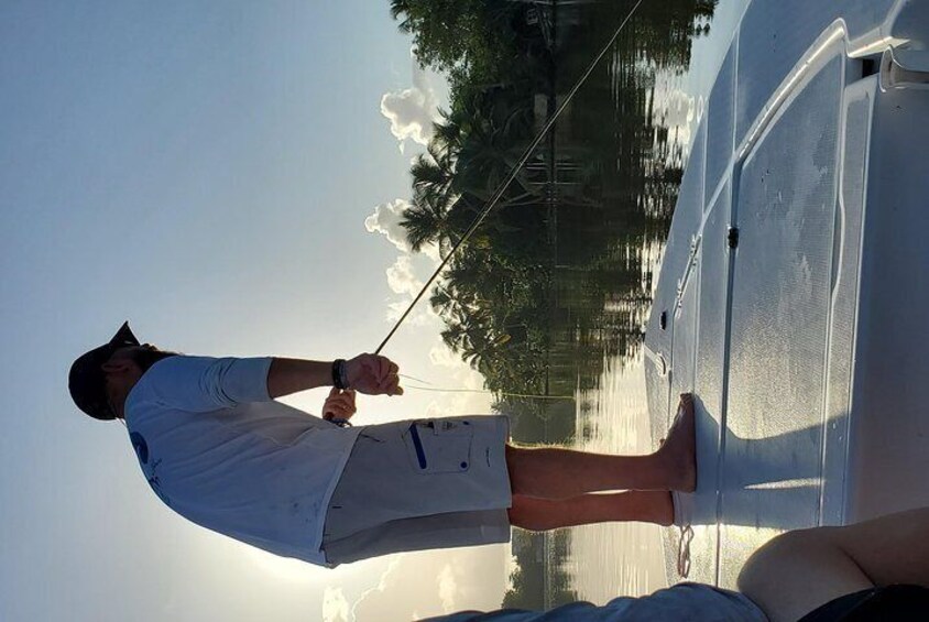 Light Tackle Tarpon & Snook Fishing Charter