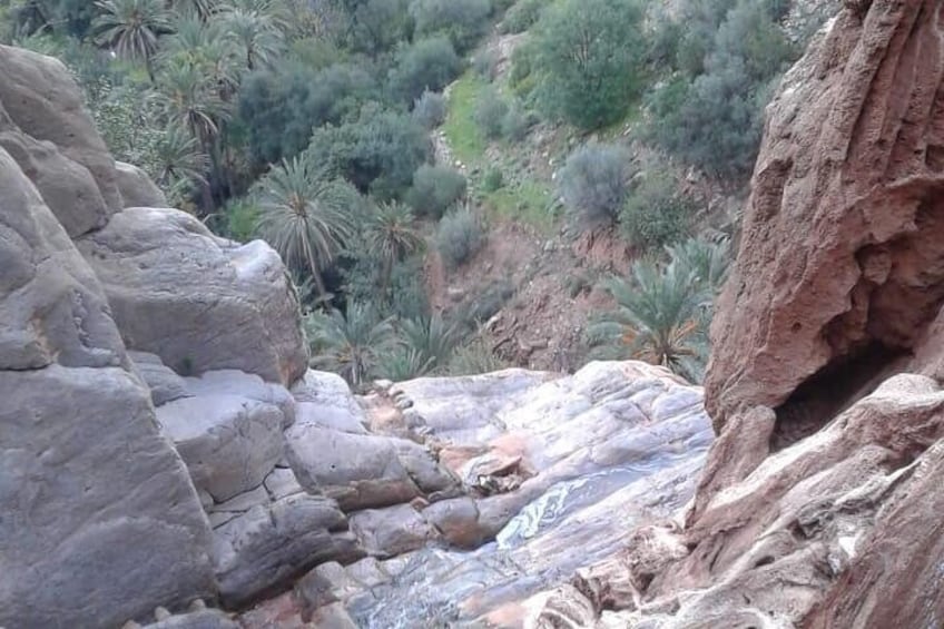 Paradise valley excursion