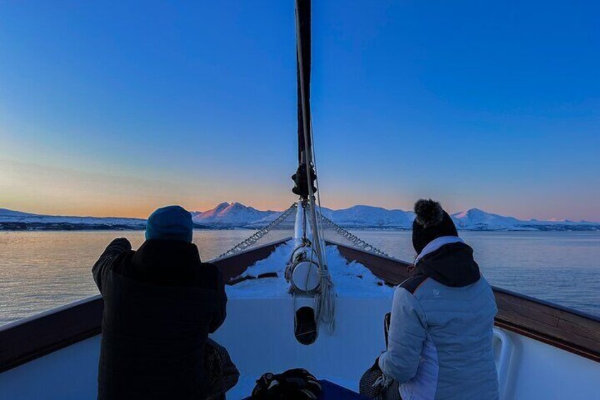 Polar fjord cruise