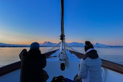 Tromsø Luxury Seilyacht Polarfjordcruise med lunsj