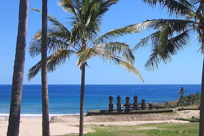 3 Tours on Easter Island.