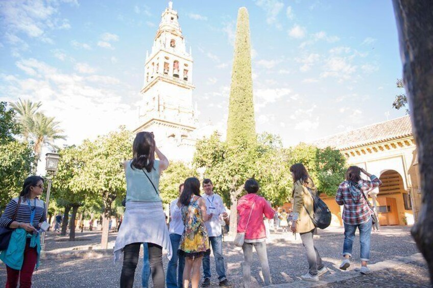 Guided tours of the Mosque-Cathedral