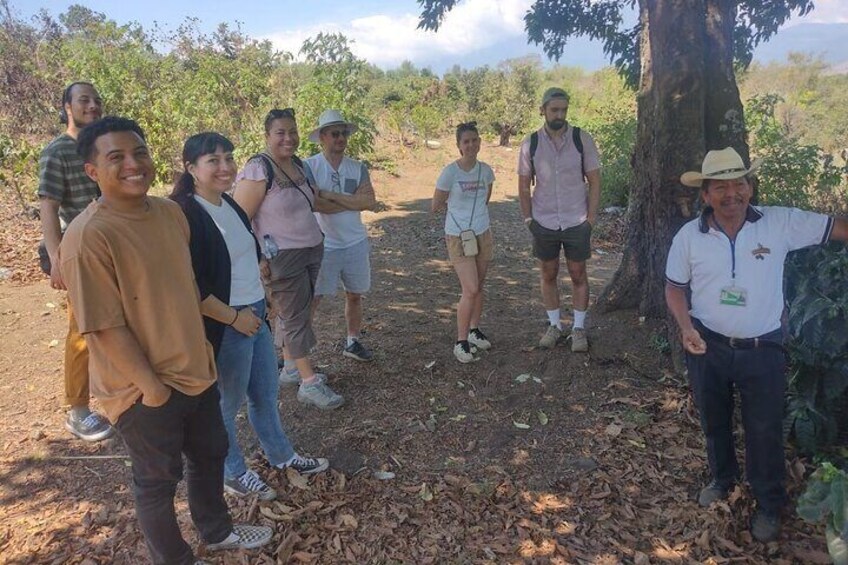 Tour Rural de Café/ Coffee Tour