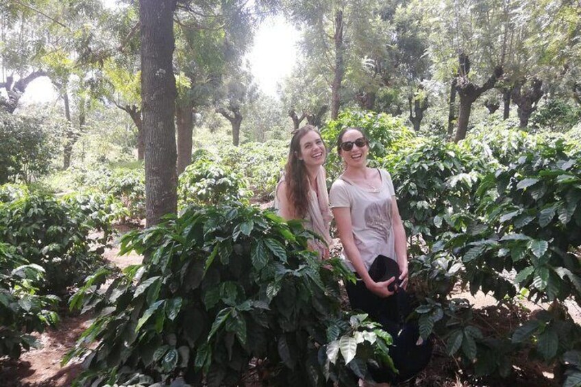 Rural Coffee Tour / Coffee Tour