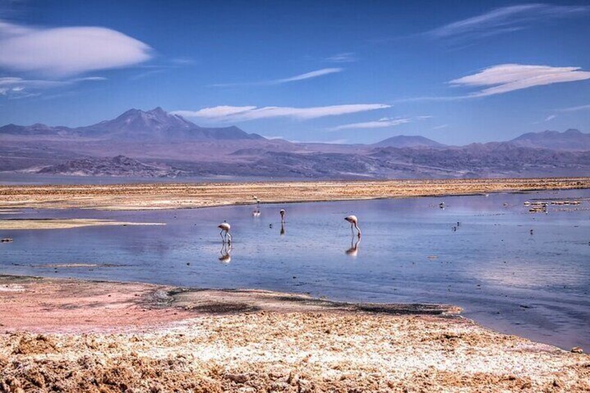 Atacama Salt Flats