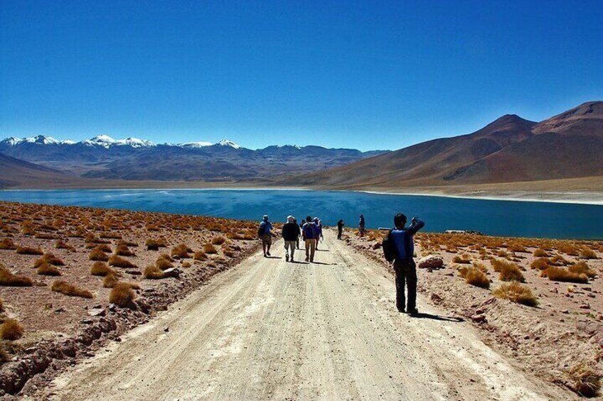 Altiplanic Lagoons