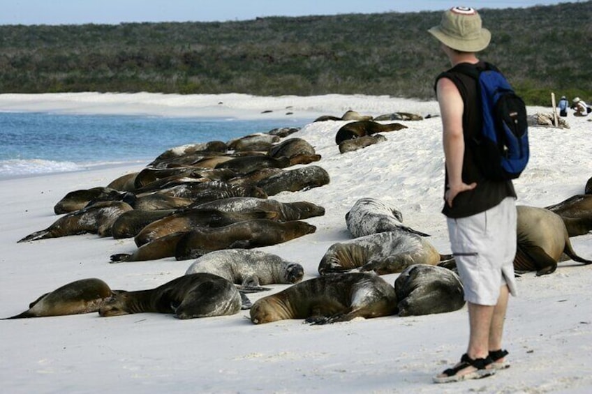 Galapagos last minute