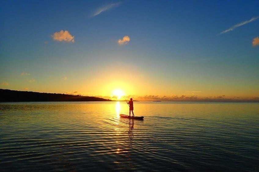 [Okinawa Iriomote] Sunrise SUP/Canoe Tour in Iriomote Island