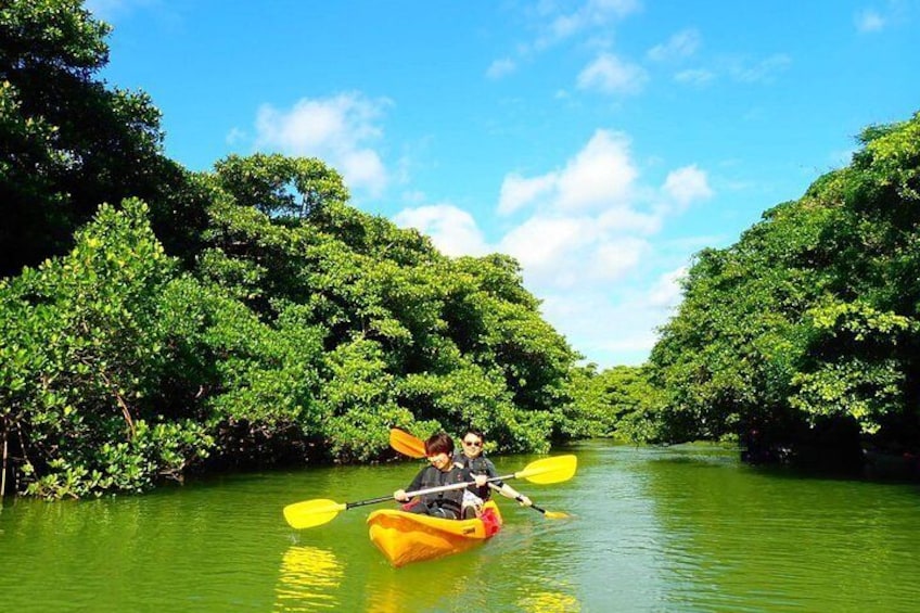 SUP/Canoe tour at Mangrove Forest+Snorkeling tour at Ishigaki-Blue Cave