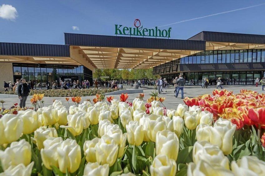 Private Keukenhof Tulip Fields & Millions of Flower Sightseeing Tour From A'dam