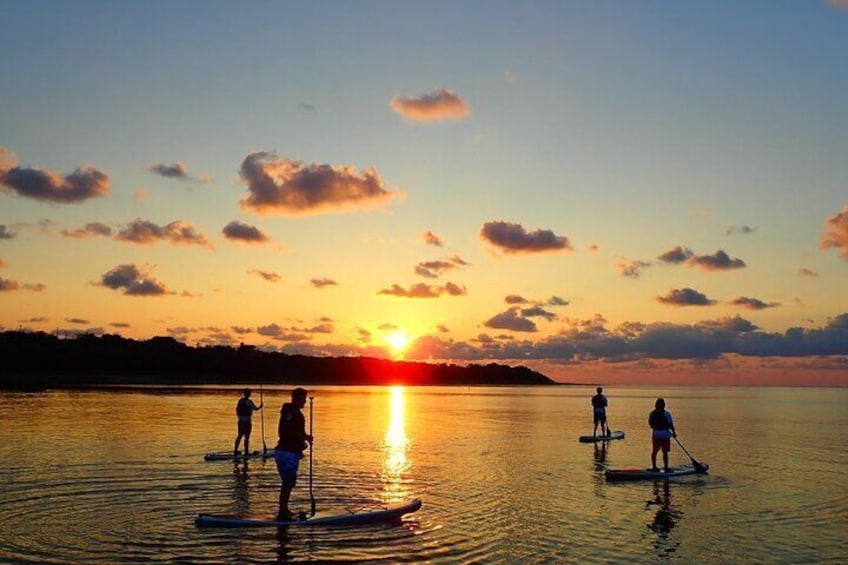 Okinawa Ishigaki Sunrise SUP / Canoe Tour in Ishigaki Island