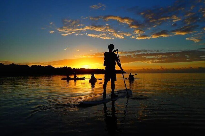 [Ishigaki] Sunrise SUP/Canoe Tour 