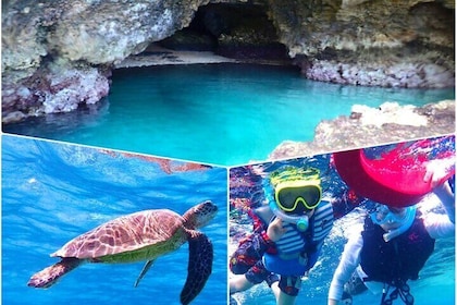 Okinawa Ishigaki Blue Cave Snorkelling Tour