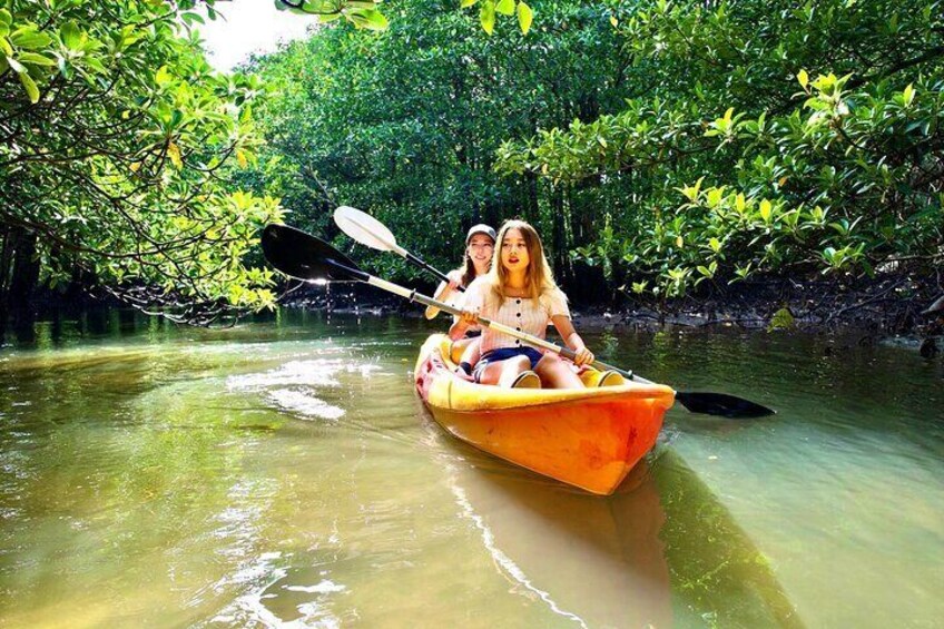 [Okinawa Iriomote] SUP / Canoe Tour at Mangrove forest