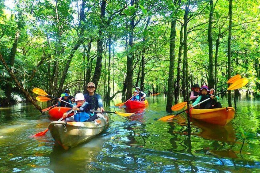 Okinawa Iriomote Sup Canoe Tour At Mangrove Forest