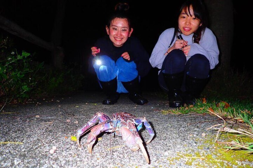 [Okinawa Ishigaki] Night Adventure Tour