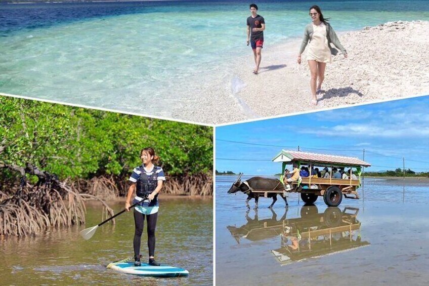 SUP/Canoe & Landing on Coral Island & Sightseeing in Yubujima