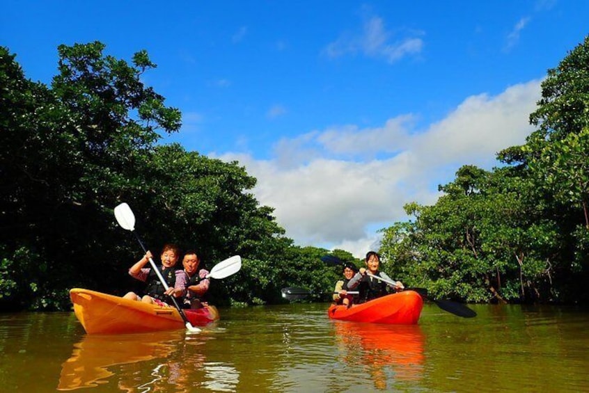 [Ishigaki]SUP/Canoe tour at Natural-Monument-Mangrove-Forest in Ishigaki Island
