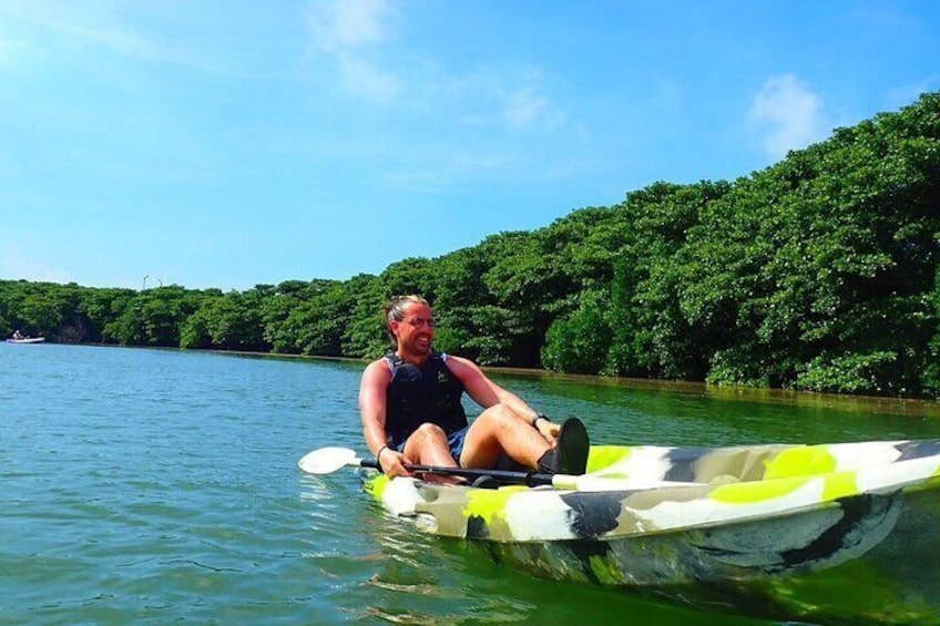 [Ishigaki]Mangrove SUP/Canoe Tour