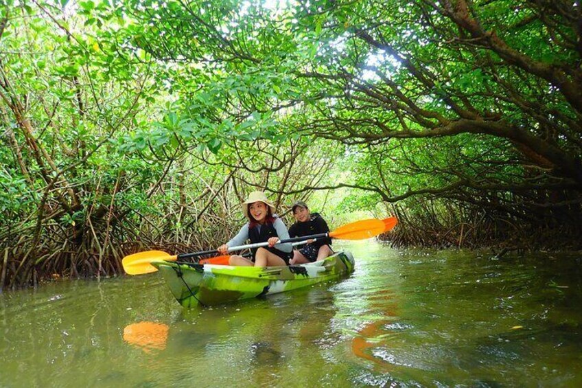 [Ishigaki]Mangrove SUP/Canoe Tour