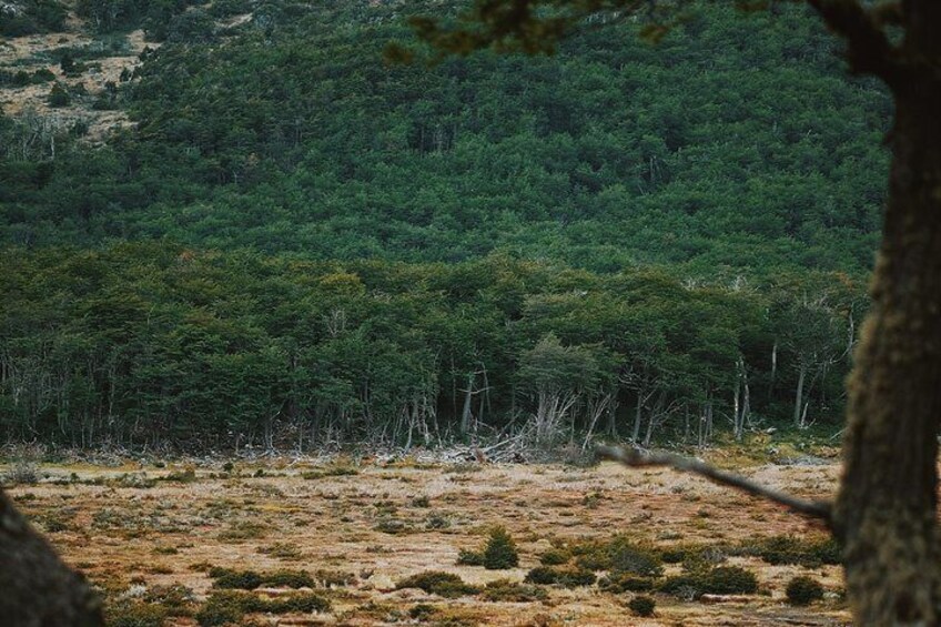 Emerald Lagoon Trekking