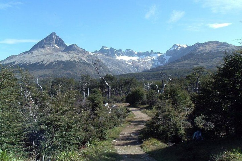 The beginning of the trail