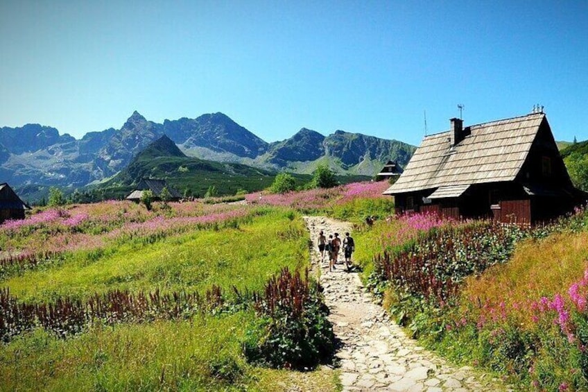 Zakopane Tour from Krakow – Highland Experience & Stunning Views