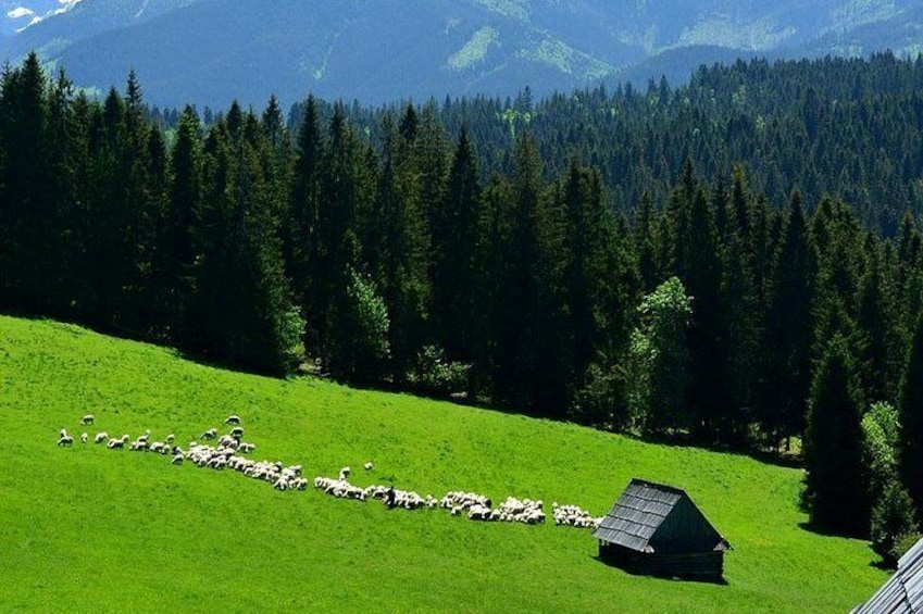 Tatra Mountains