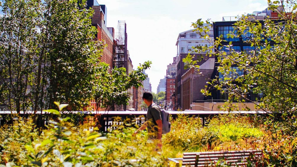 High Line path in Chelsea, New York