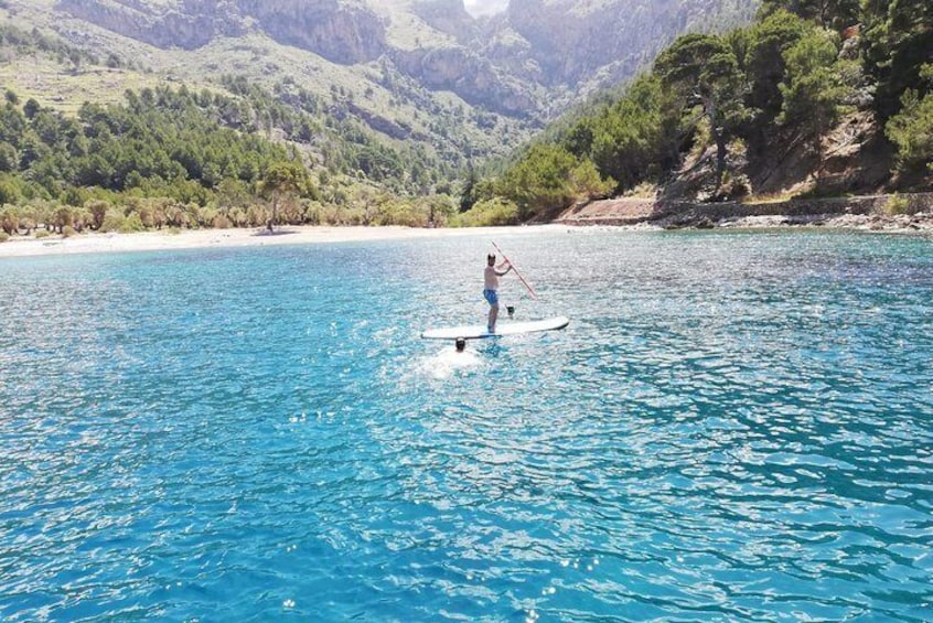 Practice paddle board and snorkel