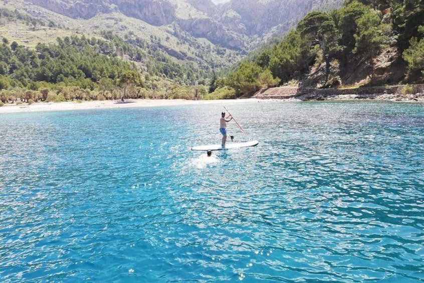 Practice paddle board and snorkel