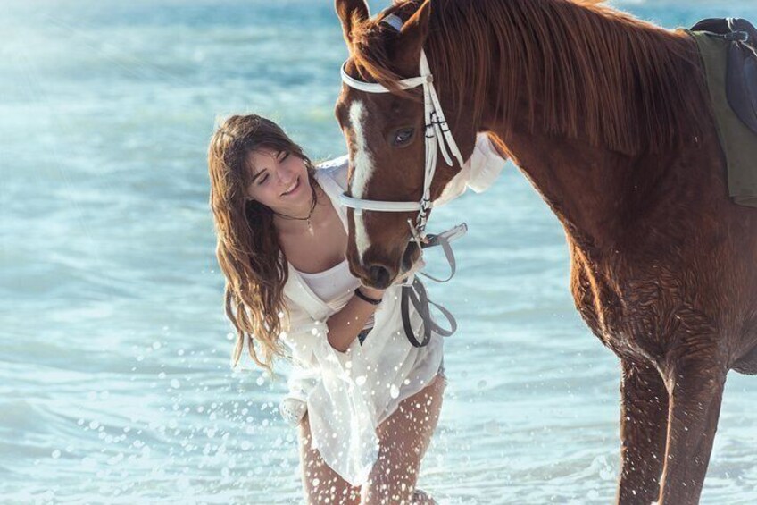 Santorini Horse riding to Eros beach