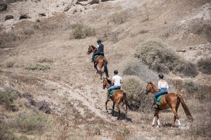 Santorini Horse riding to Eros beach