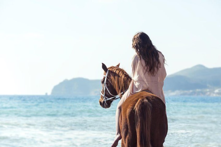 Santorini Horse riding to Eros beach