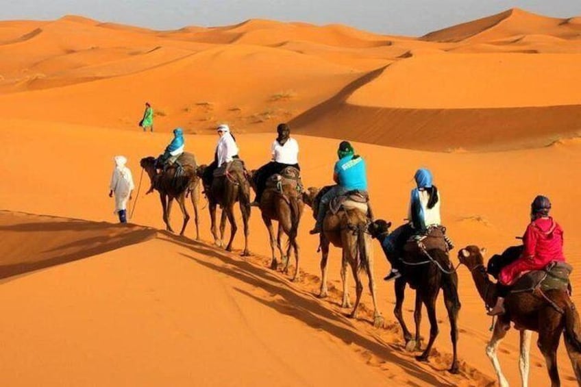 Camel Ride in Tangier