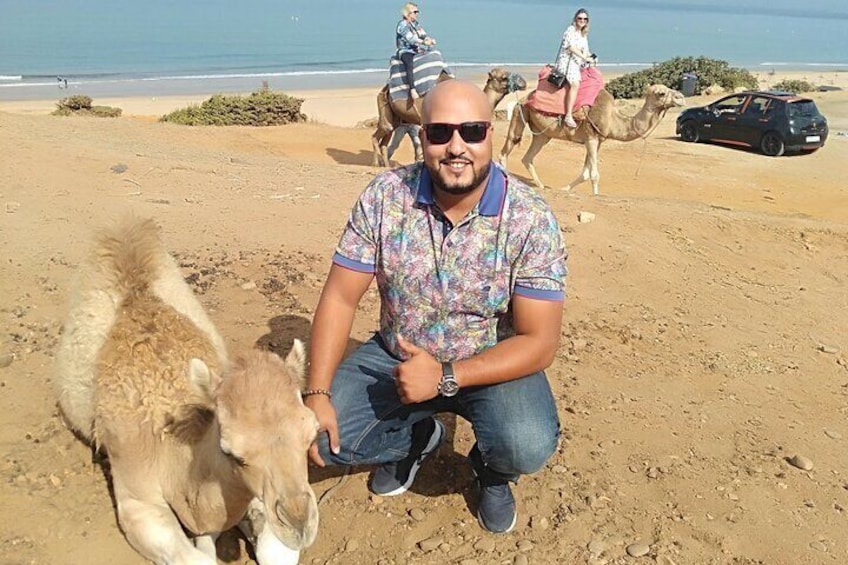 Camel ride in Tanger