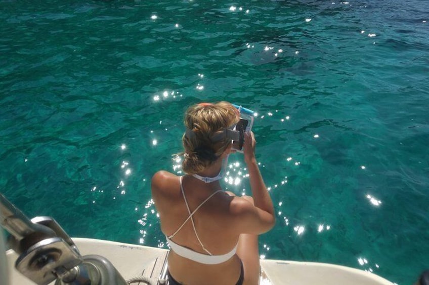 Half day boat trip in Palma de Mallorca