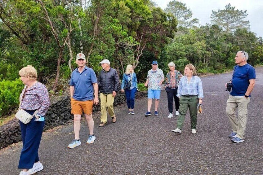 Walk in Capelo Natural Park.