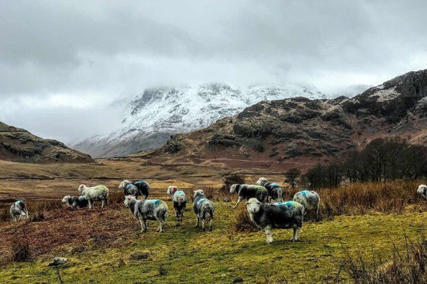 Lake District Adventure Sightseeing Day Trip from Liverpool