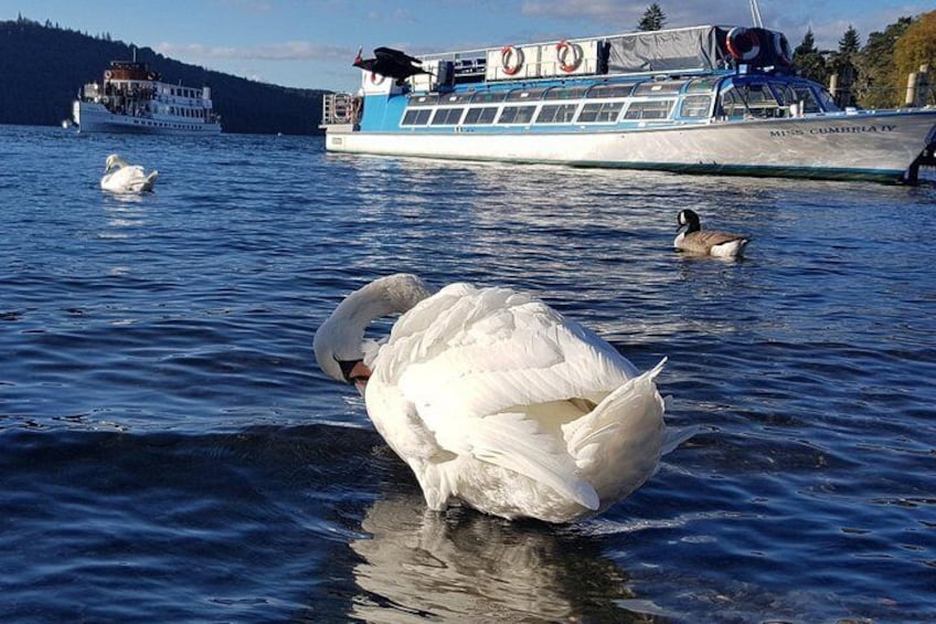 Lake District Adventure Sightseeing Day Trip from Liverpool