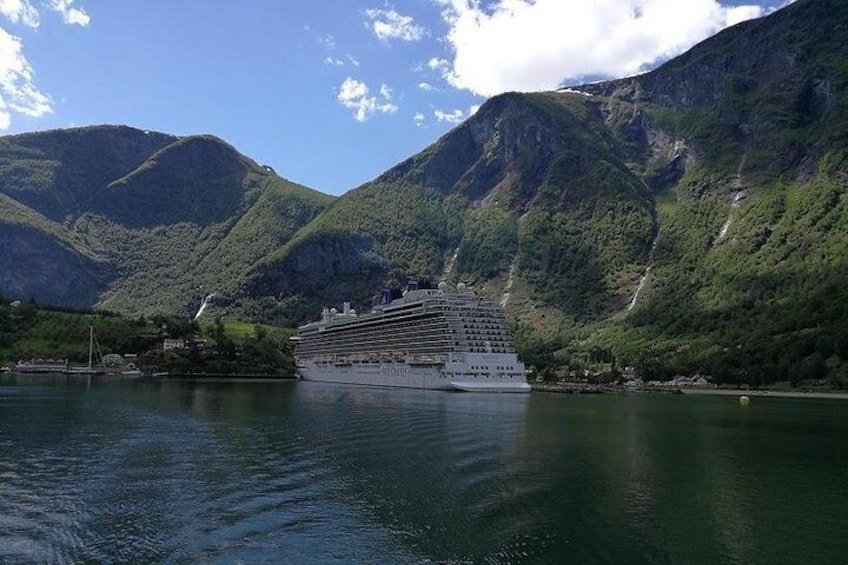 Day tour to Flam - incl Premium Nærøyfjord Cruise and Flåm Railway