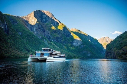 Tour autoguiado de un día: crucero premium por el fiordo de Nærøyfjord y tr...