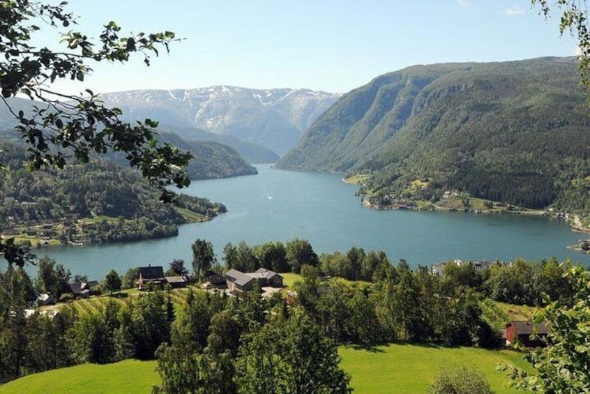 Private guided Hardanger day tour - incl Hardangerfjord Cruise and Vøringsfoss 