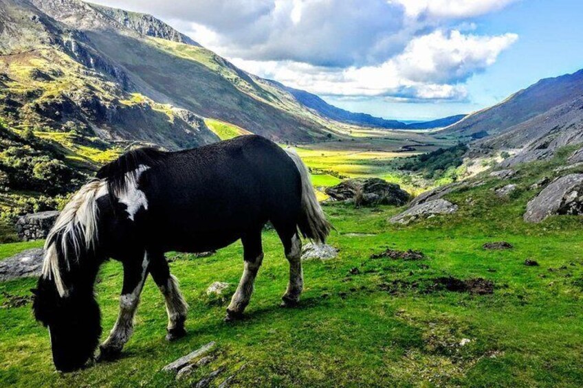 North Wales Adventure Sightseeing Day Trip from Liverpool