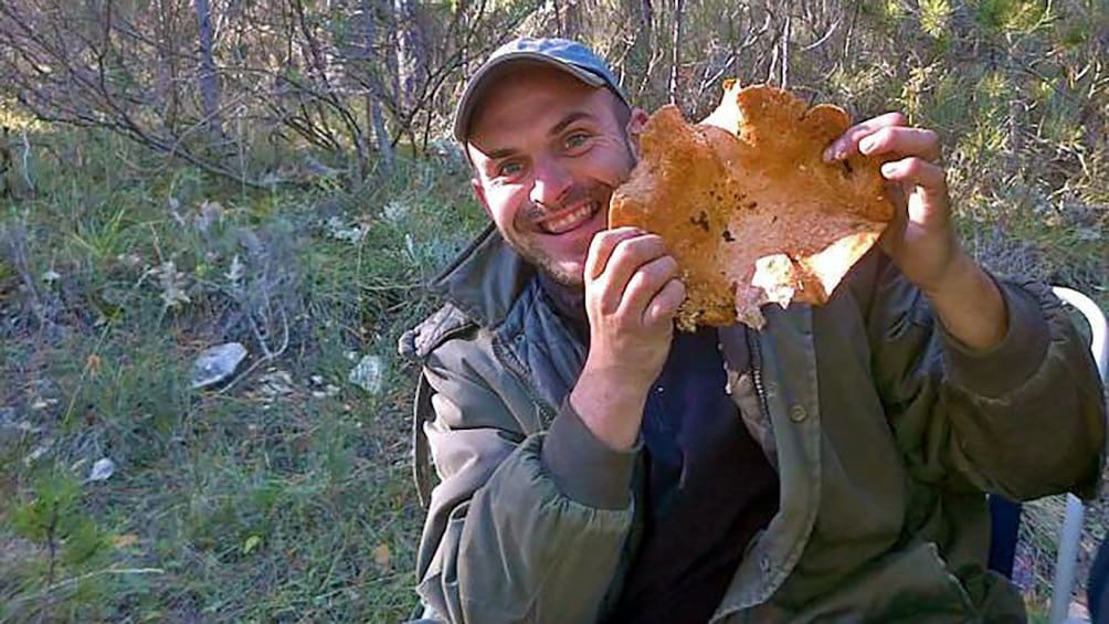 Searching for wild mushrooms in France