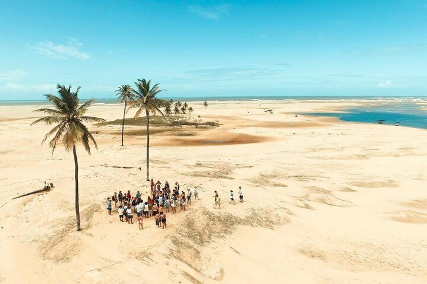 Mobile dunes in the mouth of the São Francisco River / AL